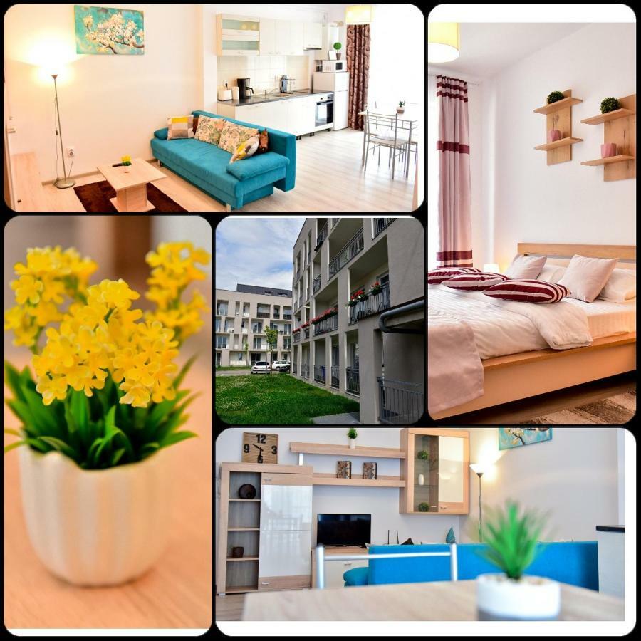 Flh - Apartament Central Silva Sibiu Esterno foto